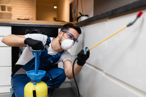 Best Pest Removal Services  in Punta Gorda, FL