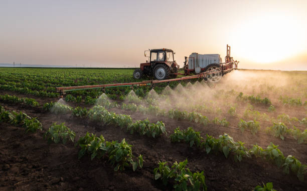 Best Commercial Pest Control Services  in Punta Gorda, FL