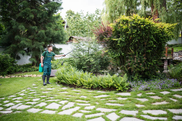 Best Ant Control Services  in Punta Gorda, FL