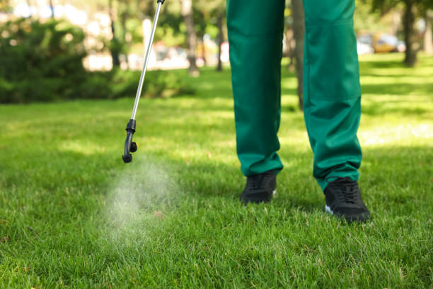Best Wasp Removal Services  in Punta Gorda, FL