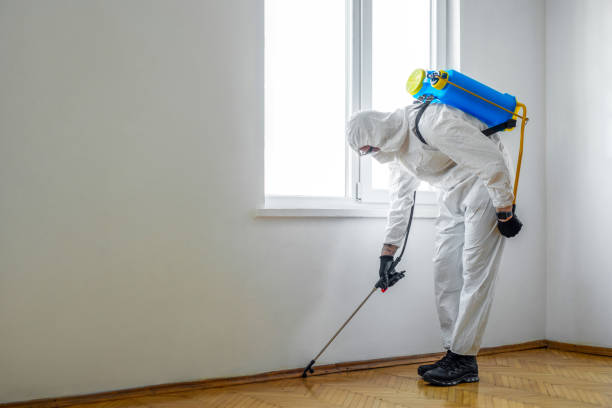 Best Bed Bug Extermination  in Punta Gorda, FL