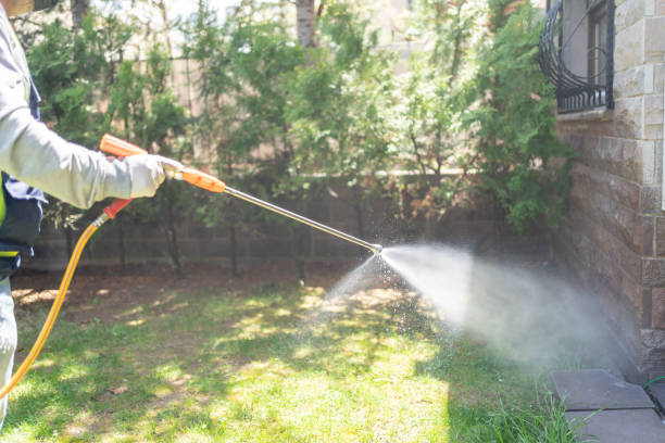 Best Termite Control Services  in Punta Gorda, FL
